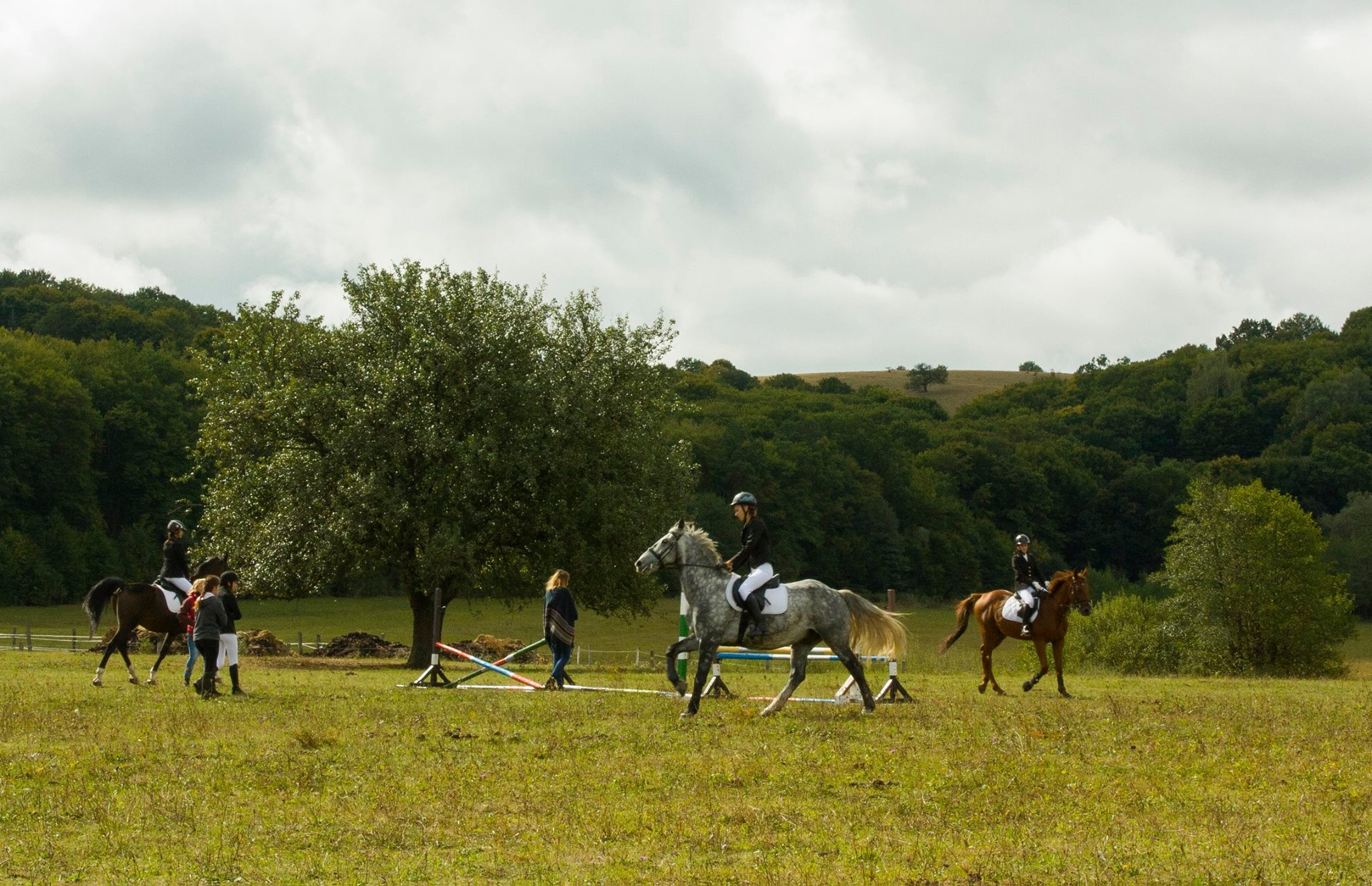Equestrian Center, Benedekmező