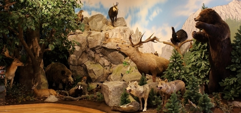 Hunting Exposition