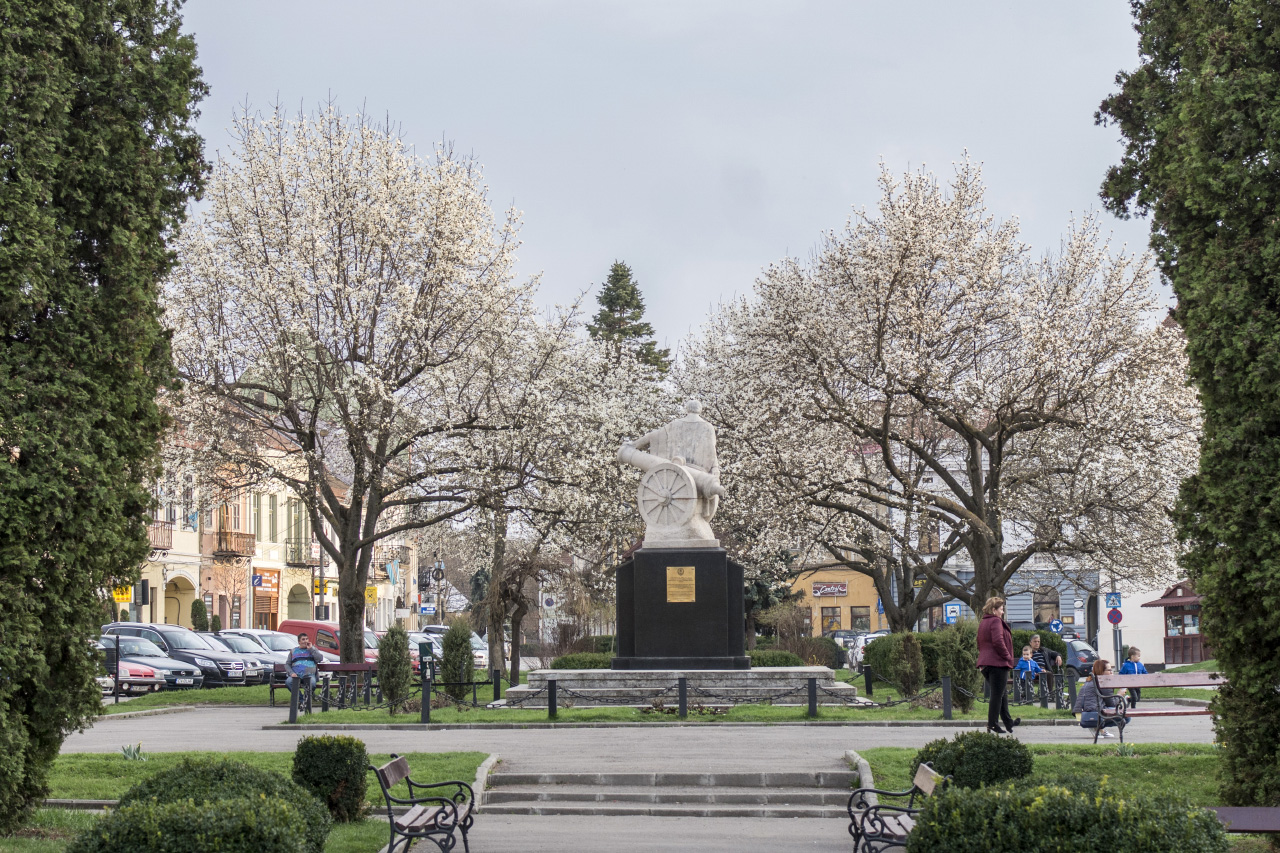 Târgu Secuiesc